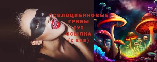 ГАЛЛЮЦИНОГЕННЫЕ ГРИБЫ Волоколамск