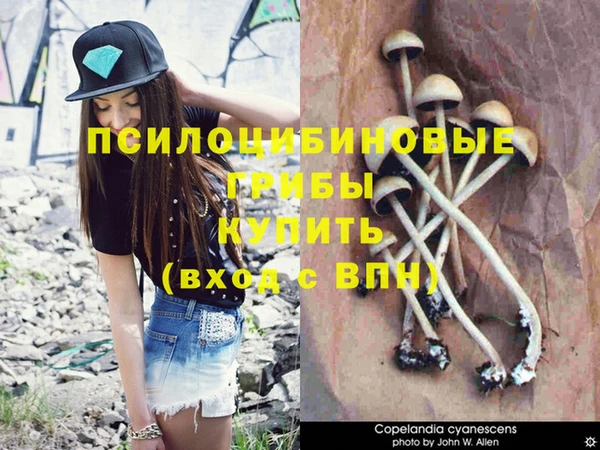 ГАЛЛЮЦИНОГЕННЫЕ ГРИБЫ Волоколамск